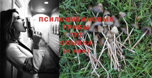 каннабис Коряжма